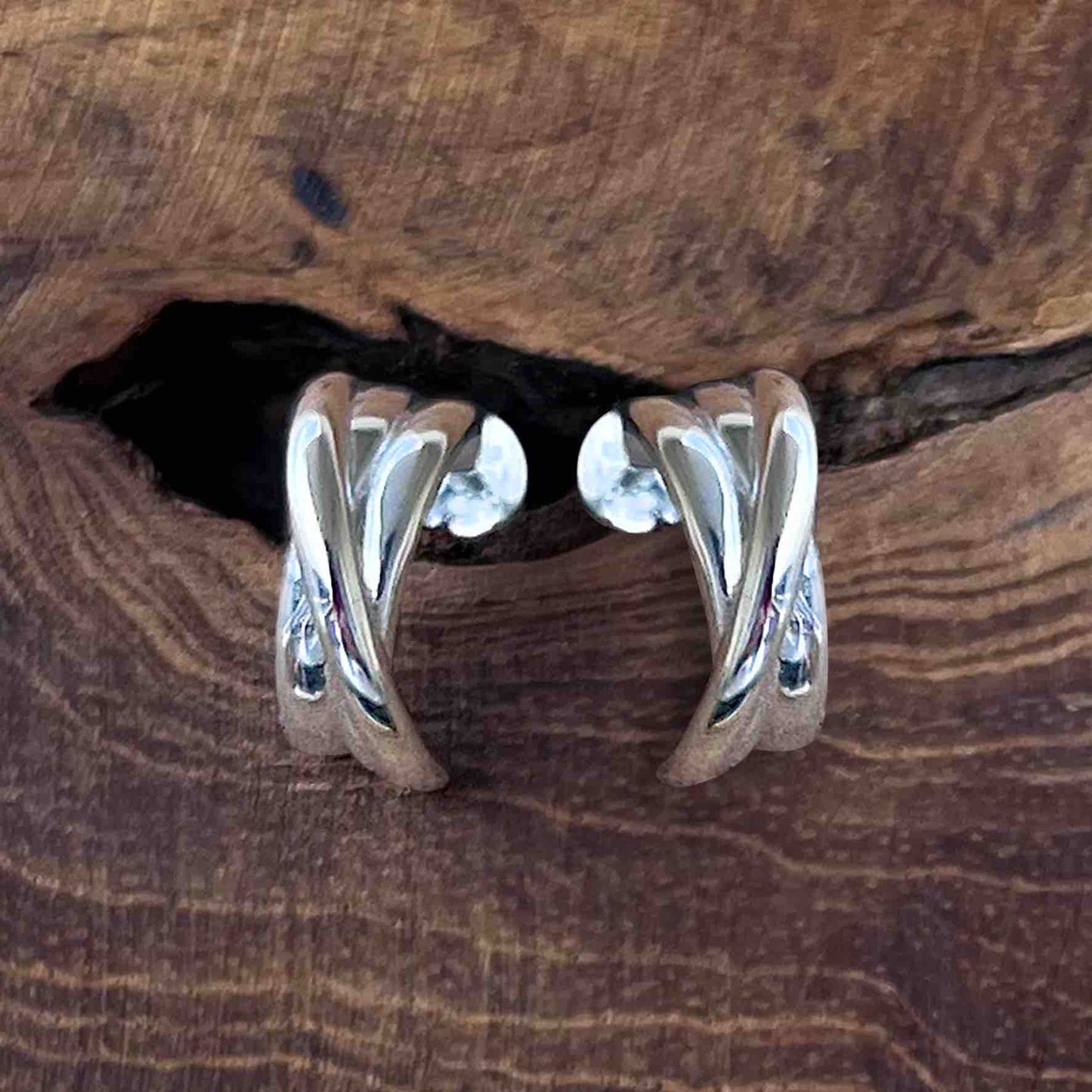 Boucles d'oreilles Terre d'Argent