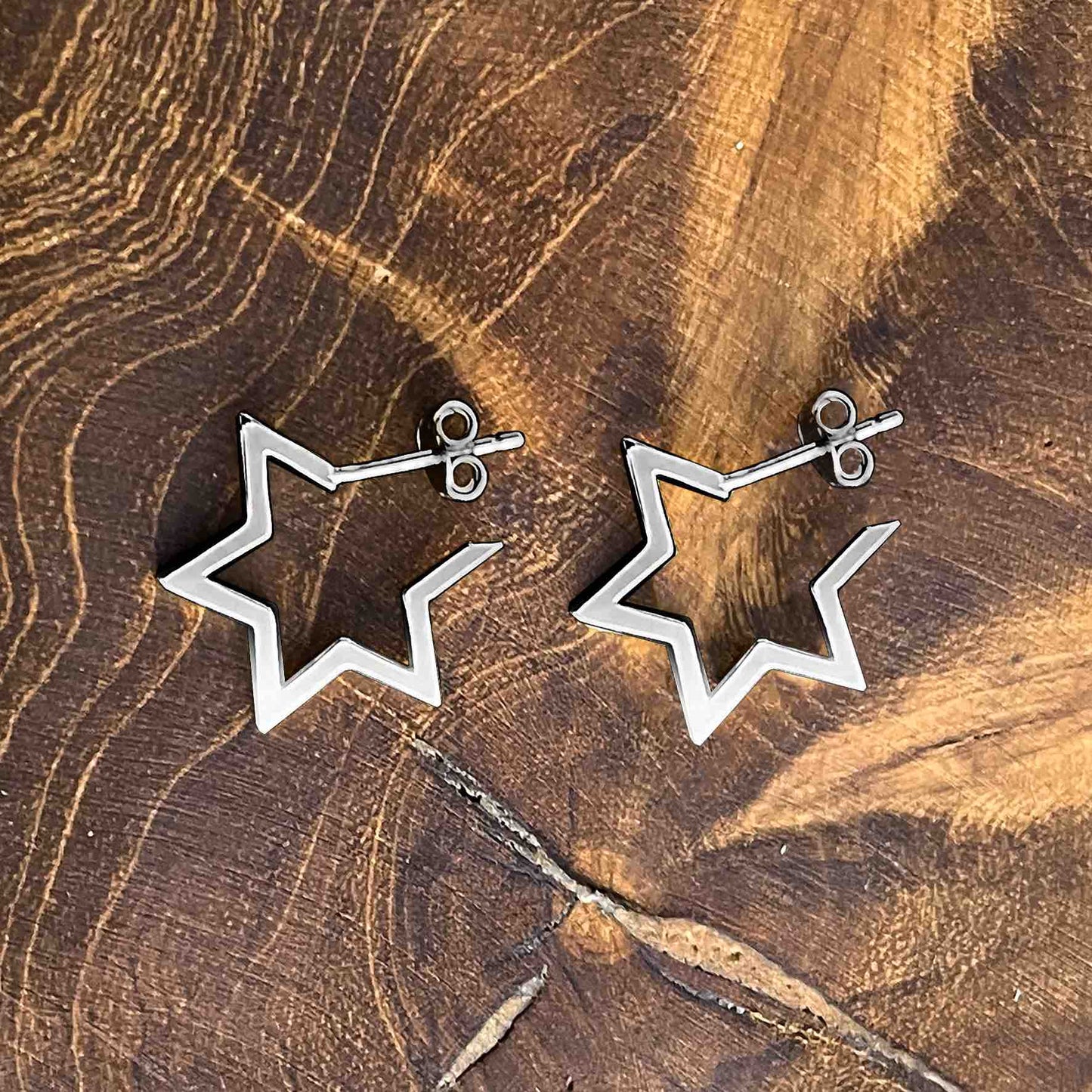 Boucles d'oreilles Terre d'Argent