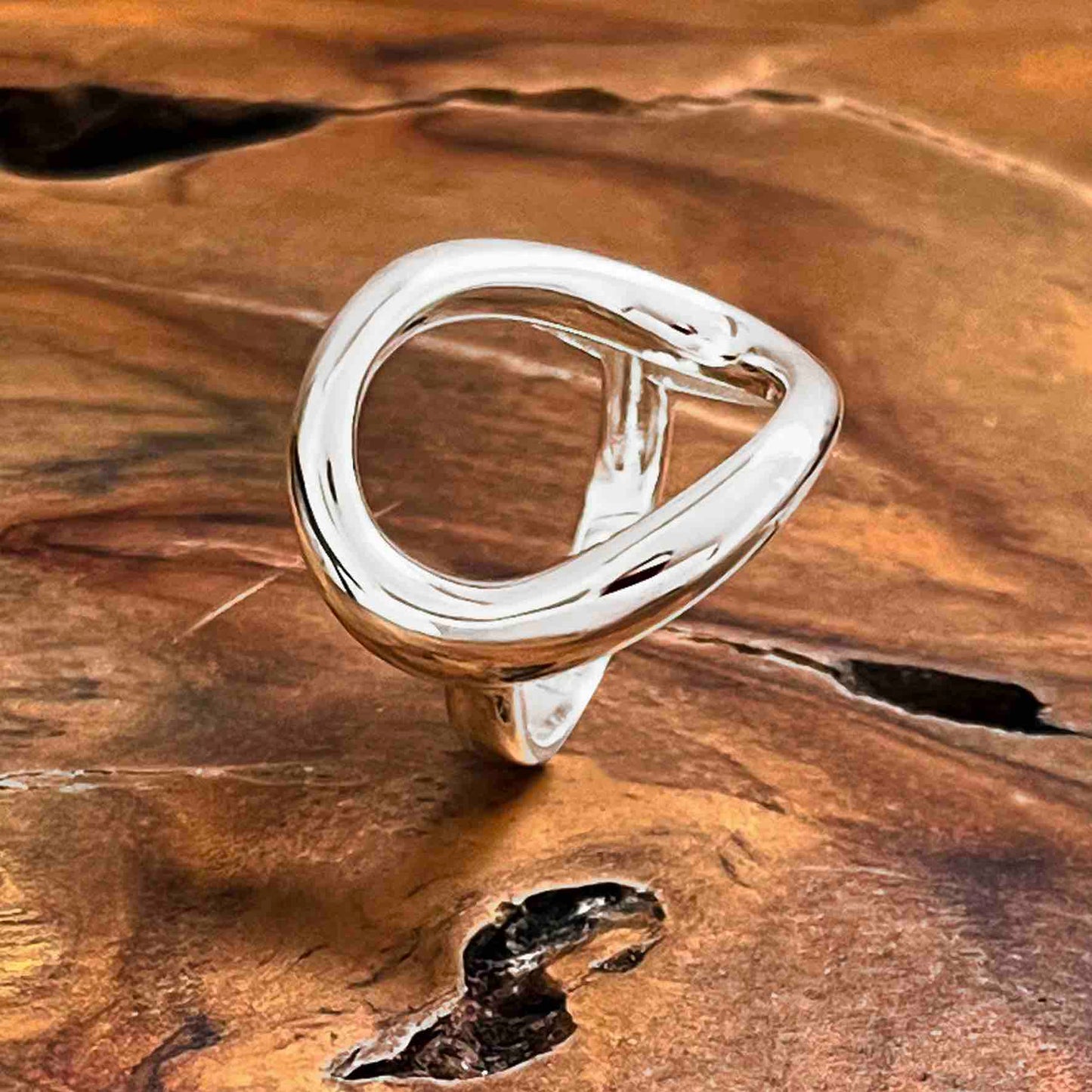 Bague Terre d'Argent