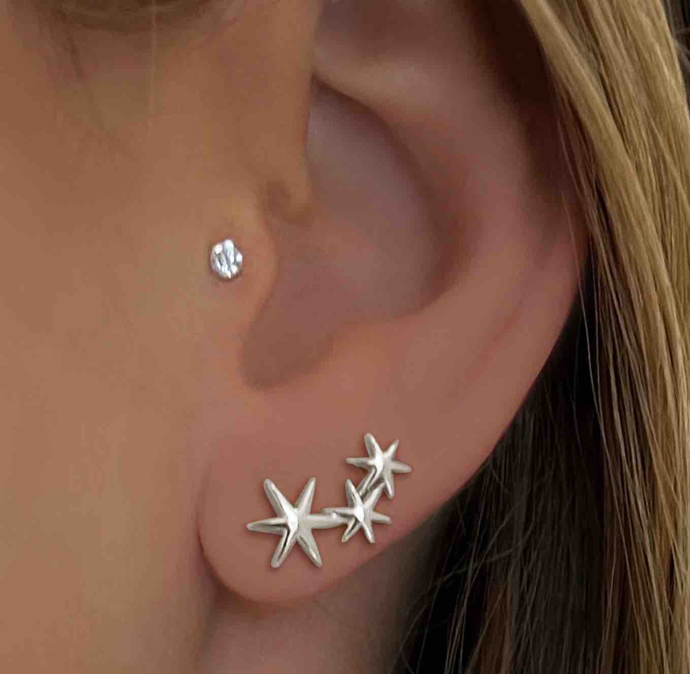 Boucles d'oreilles Terre d'Argent