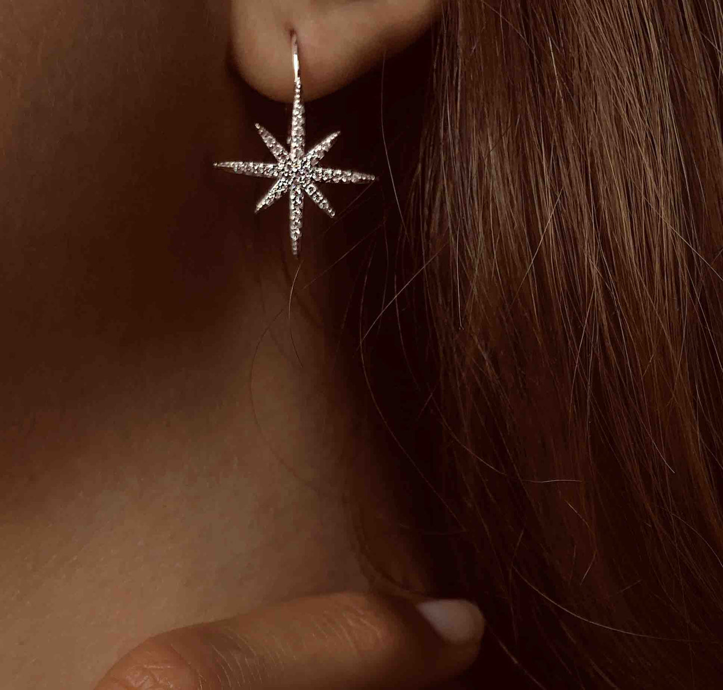 Terre d'Argent Set