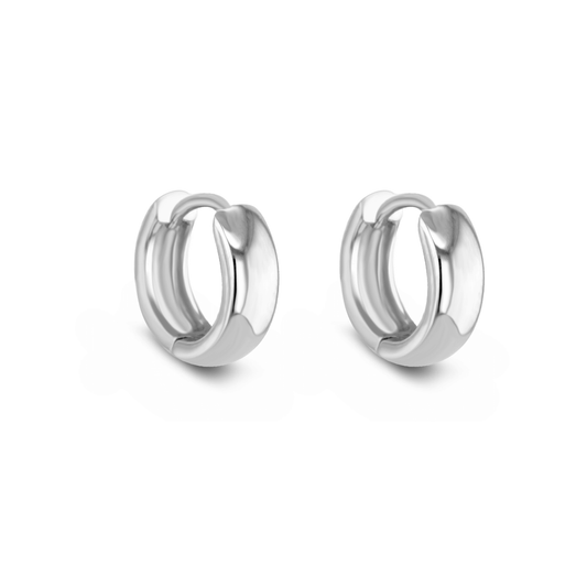 Terre d'Argent earrings