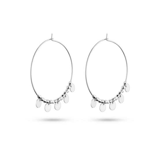 Terre d'Argent earrings