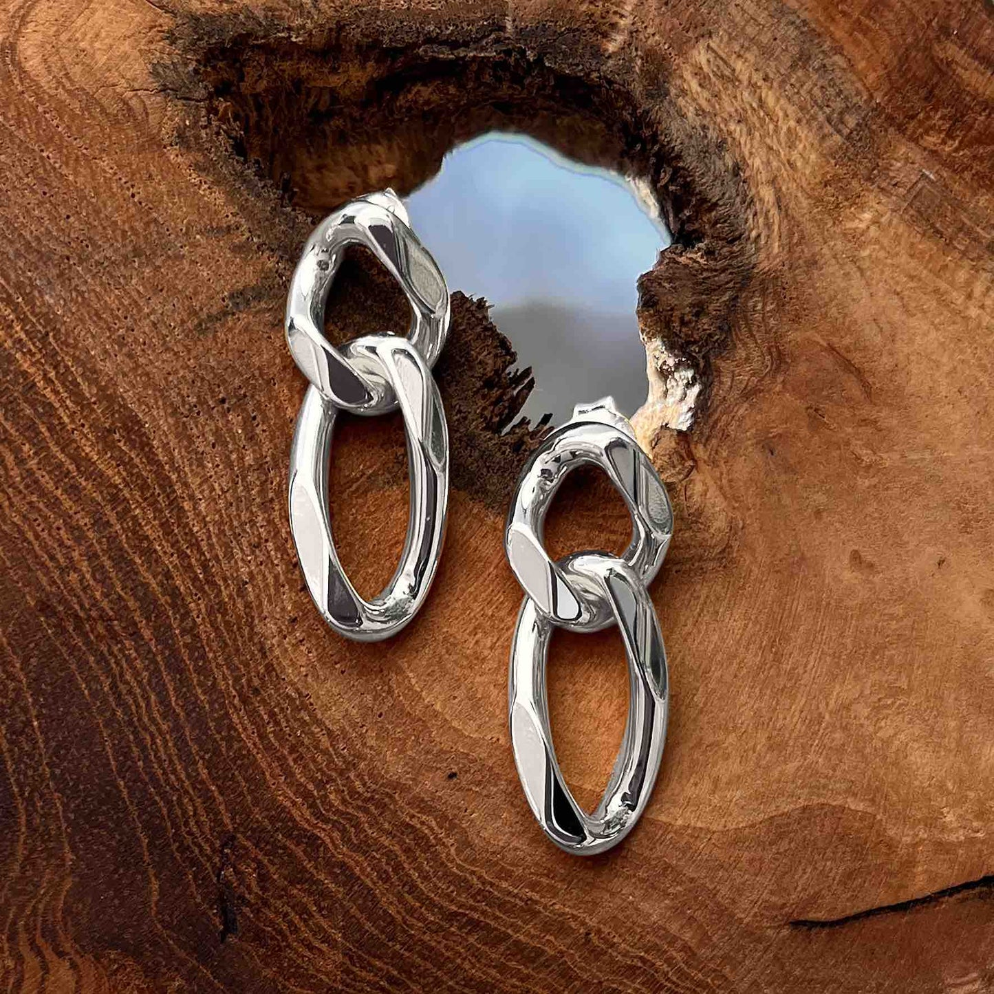 Terre d'Argent earrings