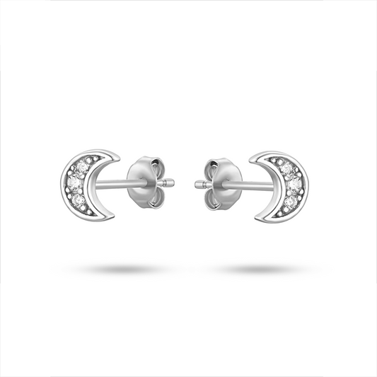 Boucles d'oreilles Terre d'Argent