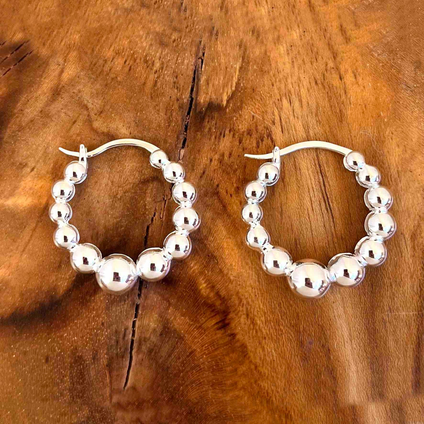 Terre d'Argent earrings