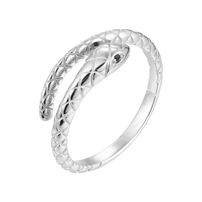 Bague Terre d'Argent