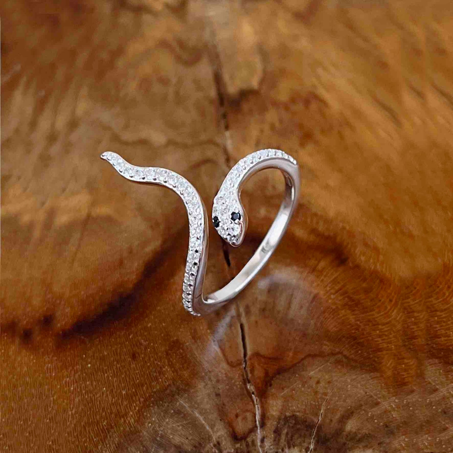 Bague Terre d'Argent